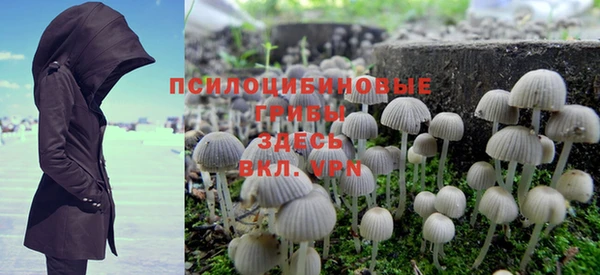 марихуана Горнозаводск