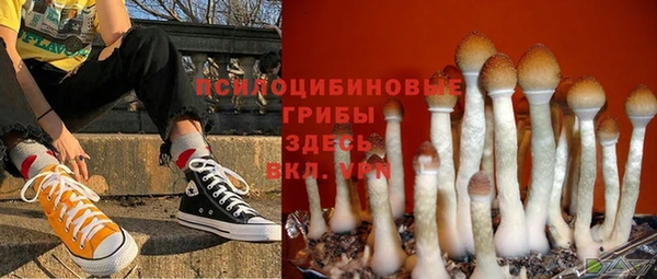 дмт Володарск